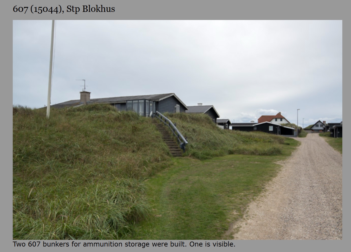 Dines Bogø - 