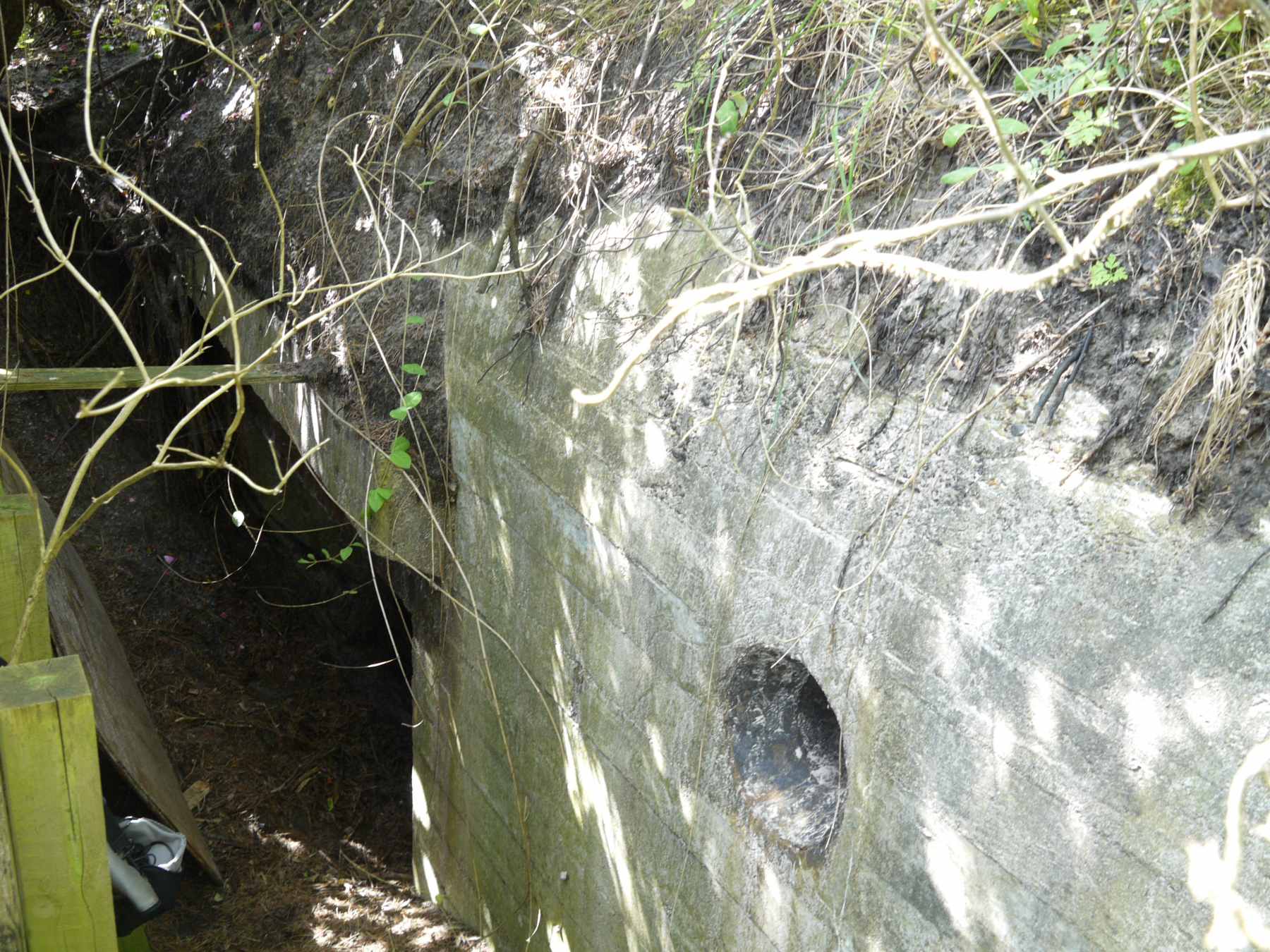 Dines Bogø - 