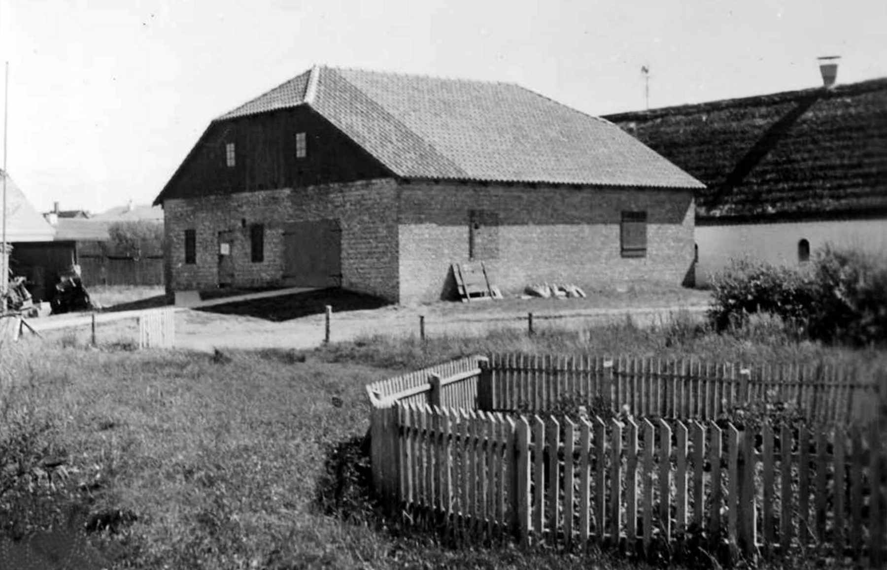 Dines Bogø - 