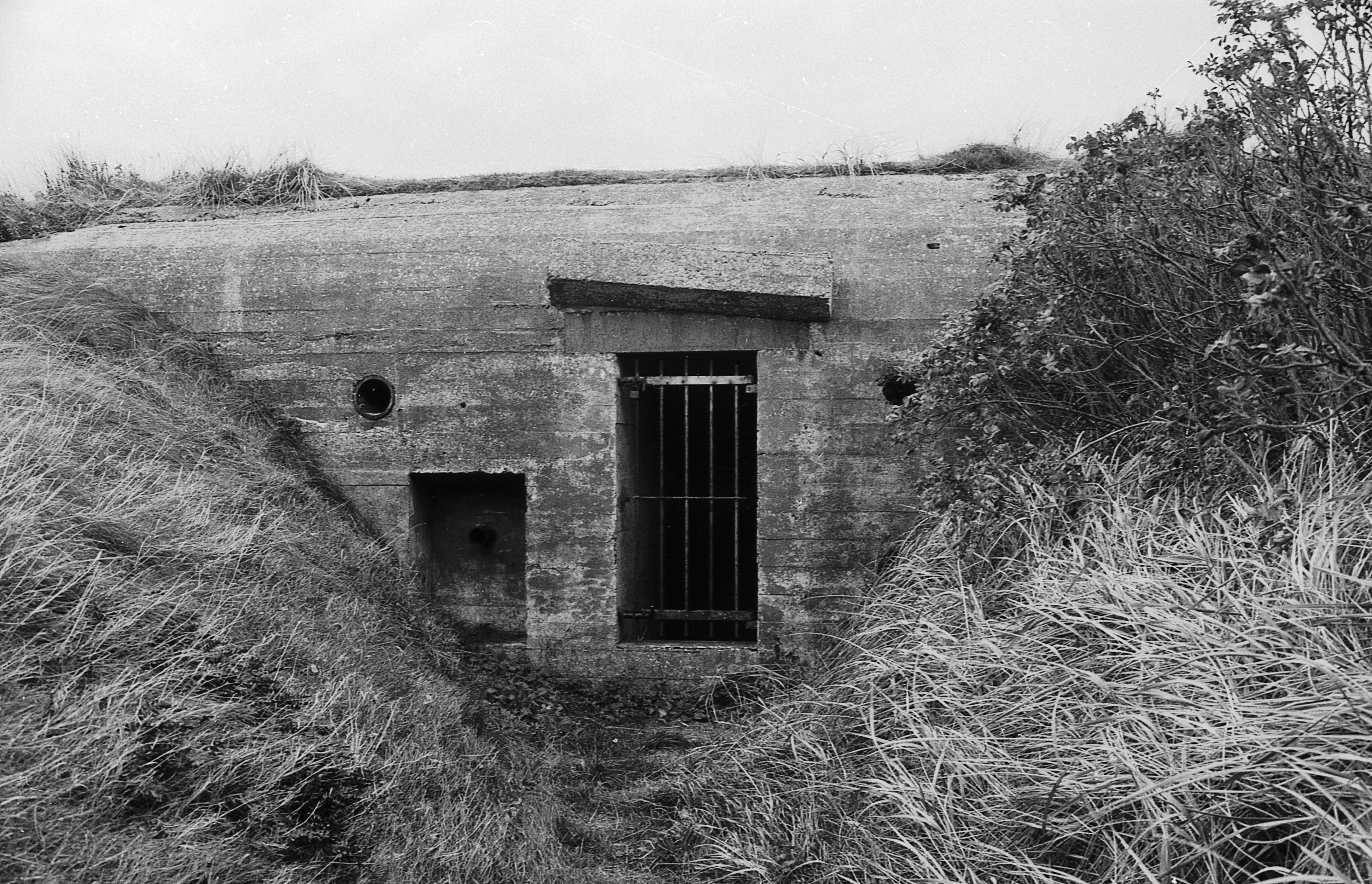 Dines Bogø - 