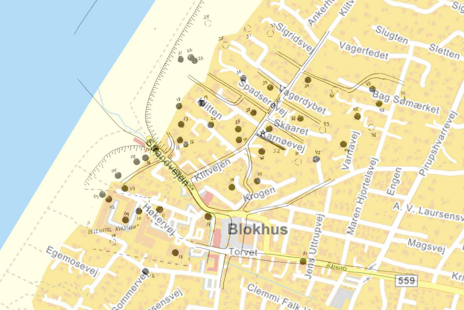Dines Bogø - 