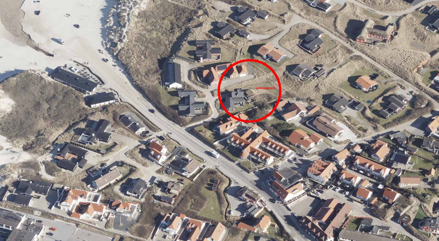 Dines Bogø - 