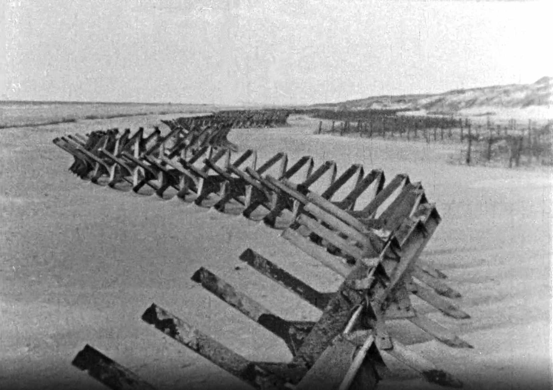 Dines Bogø