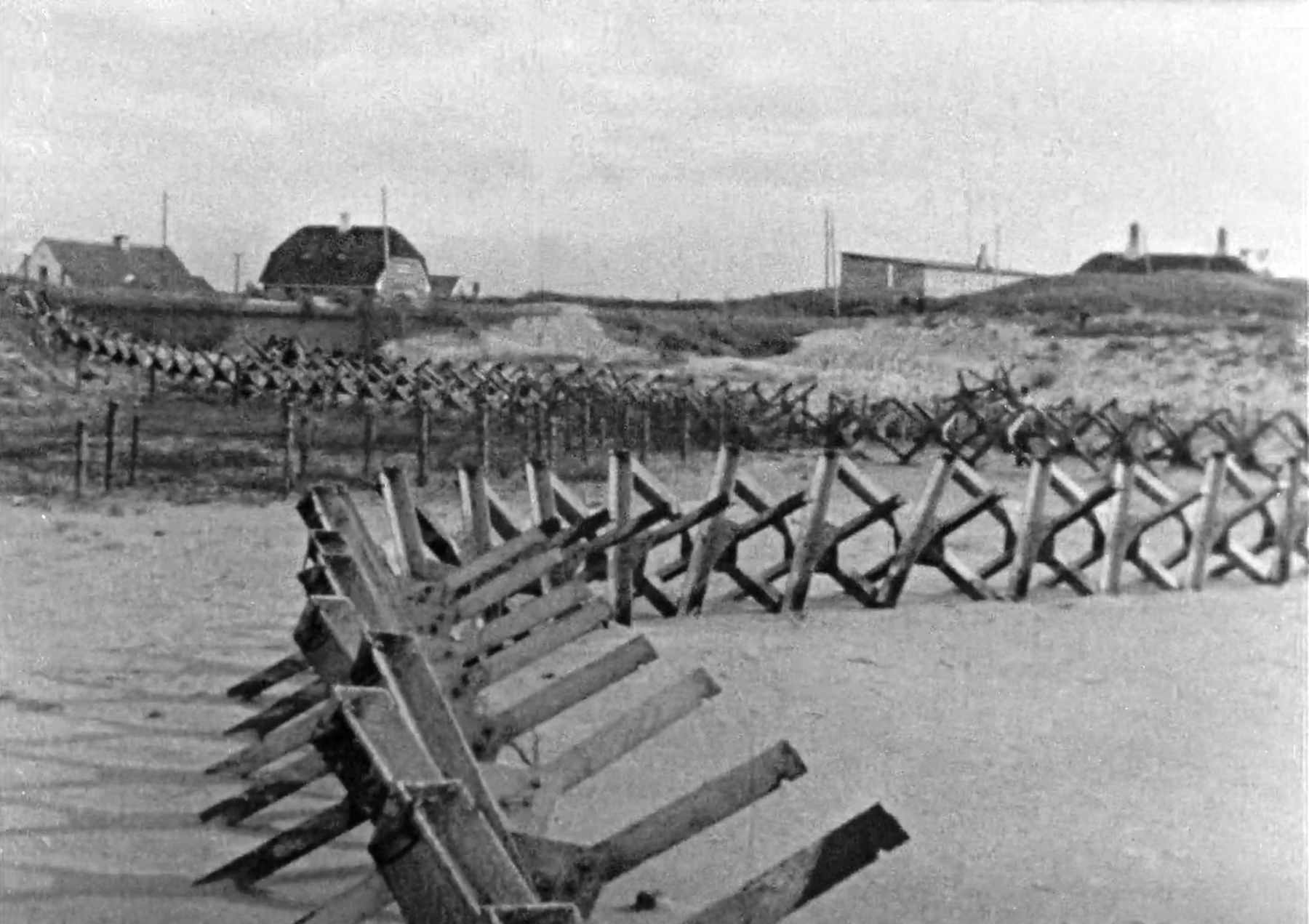 Dines Bogø