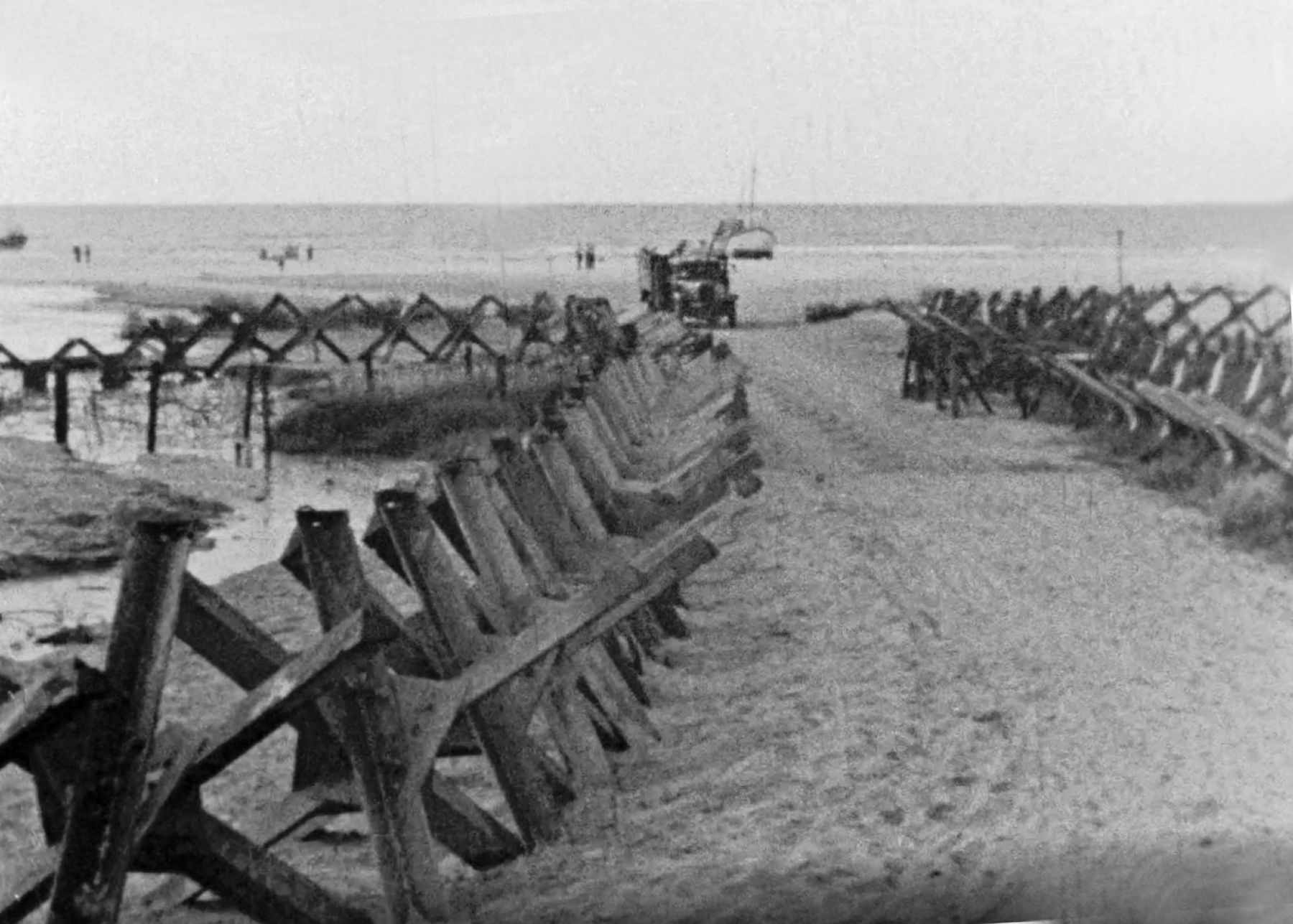Dines Bogø