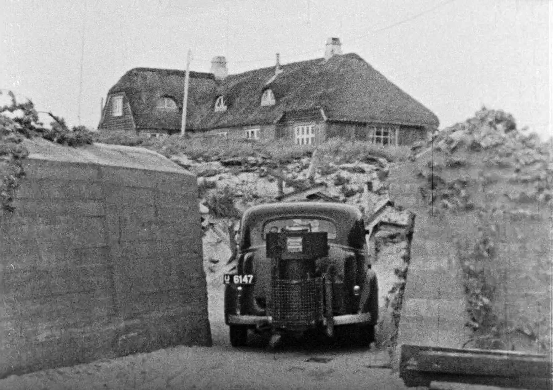 Dines Bogø