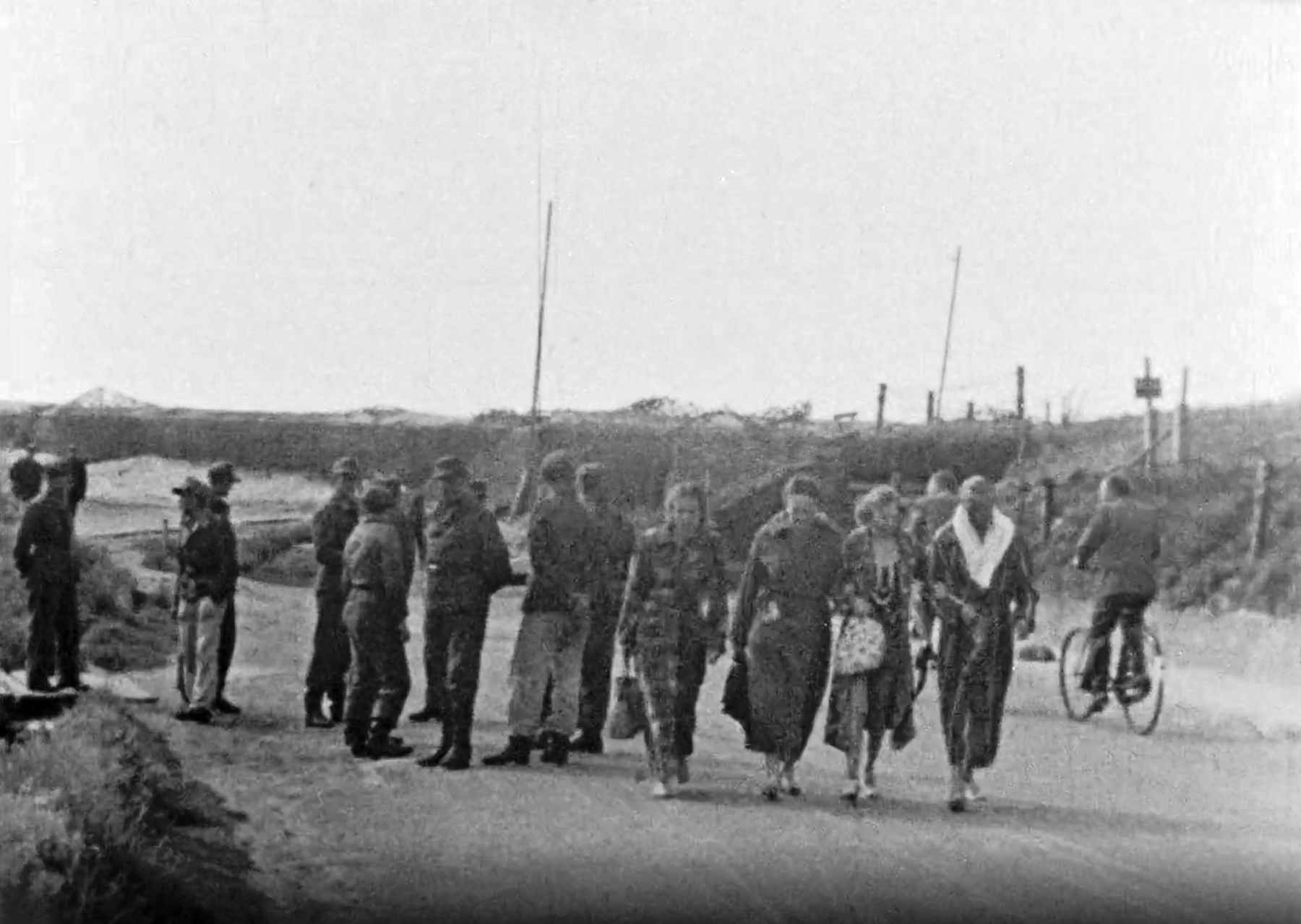 Dines Bogø
