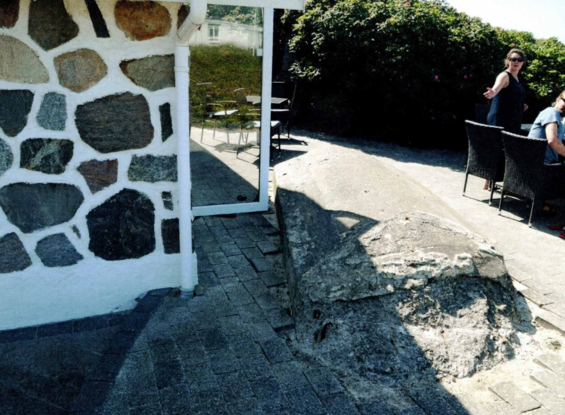 Dines Bogø