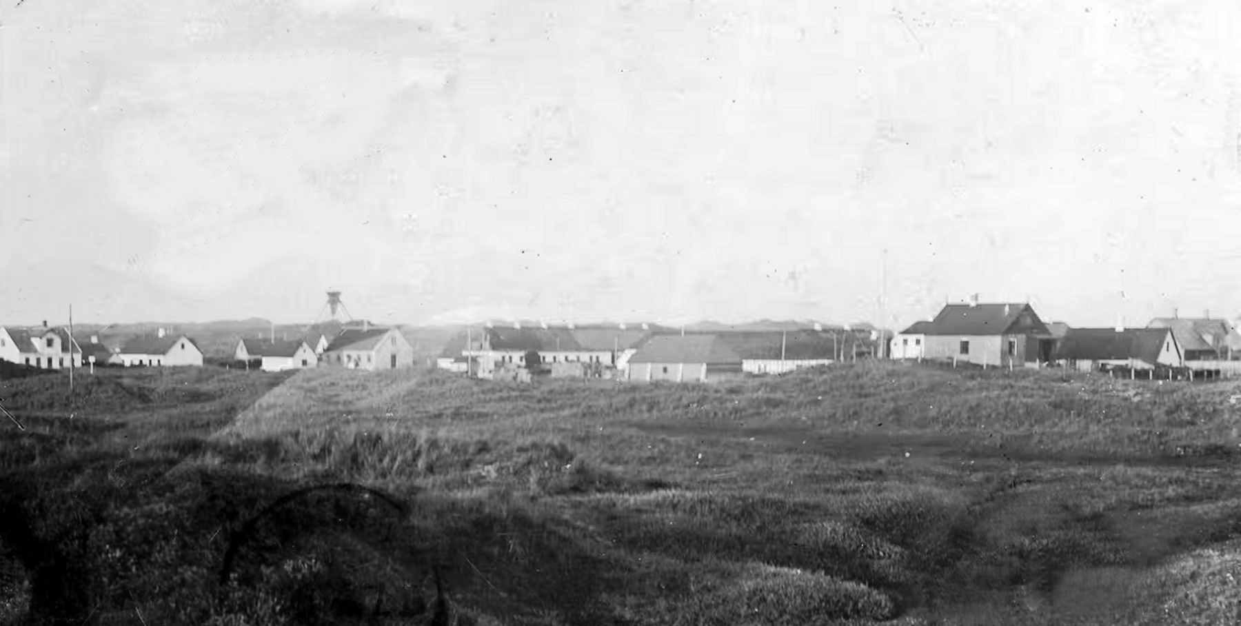 Dines Bogø