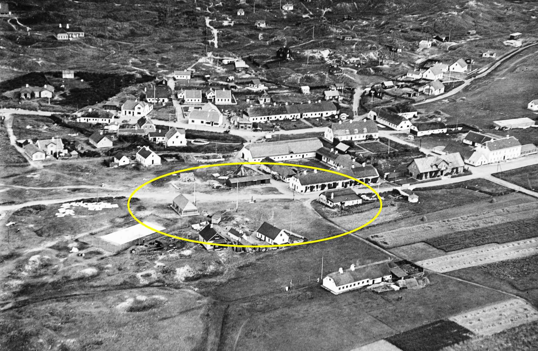 Dines Bogø