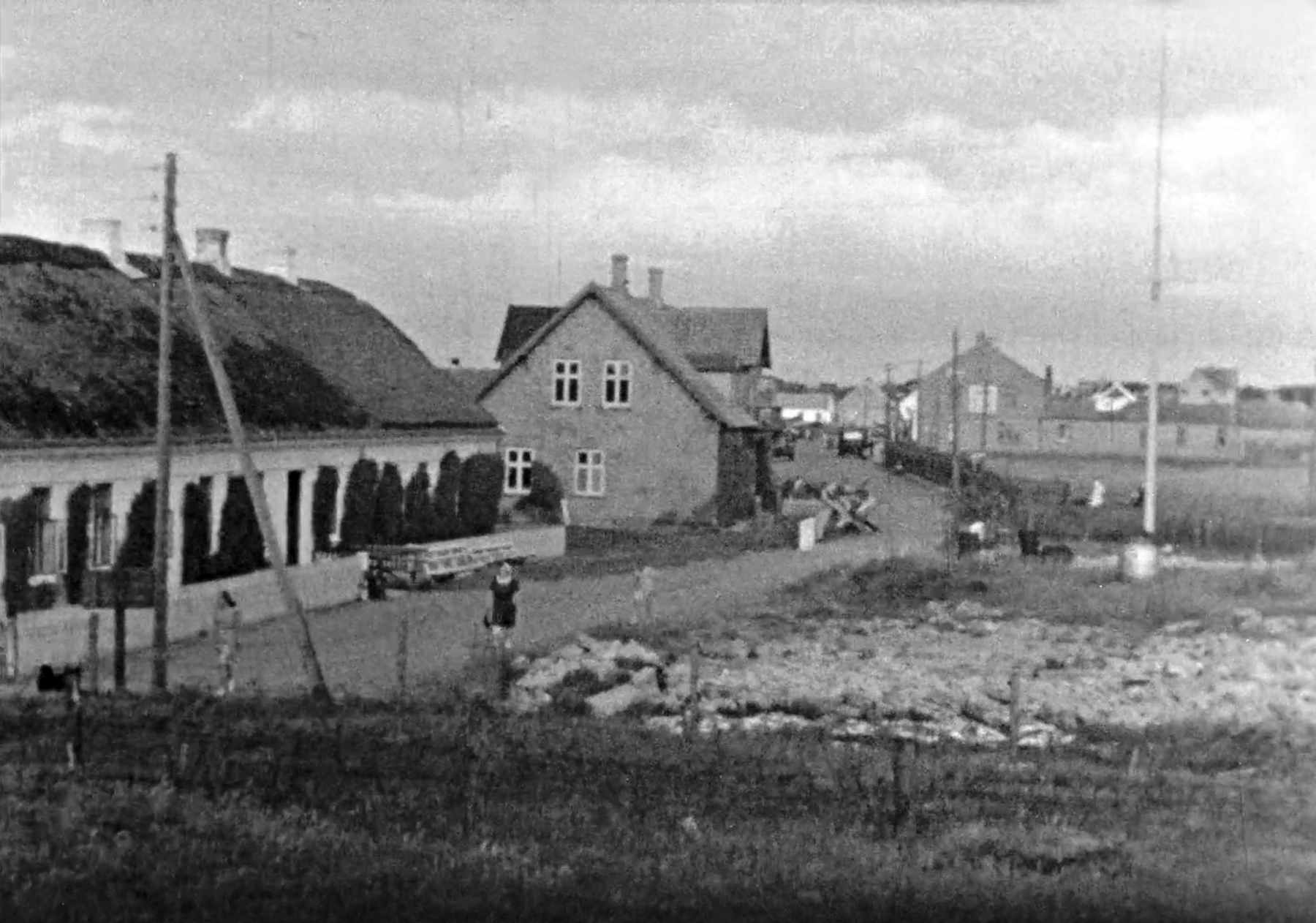 Dines Bogø