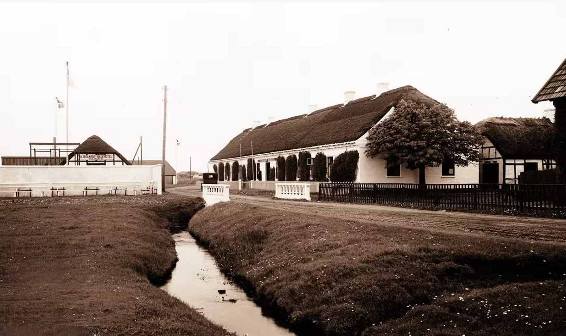 Dines Bogø
